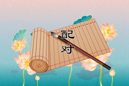 理想对象类型